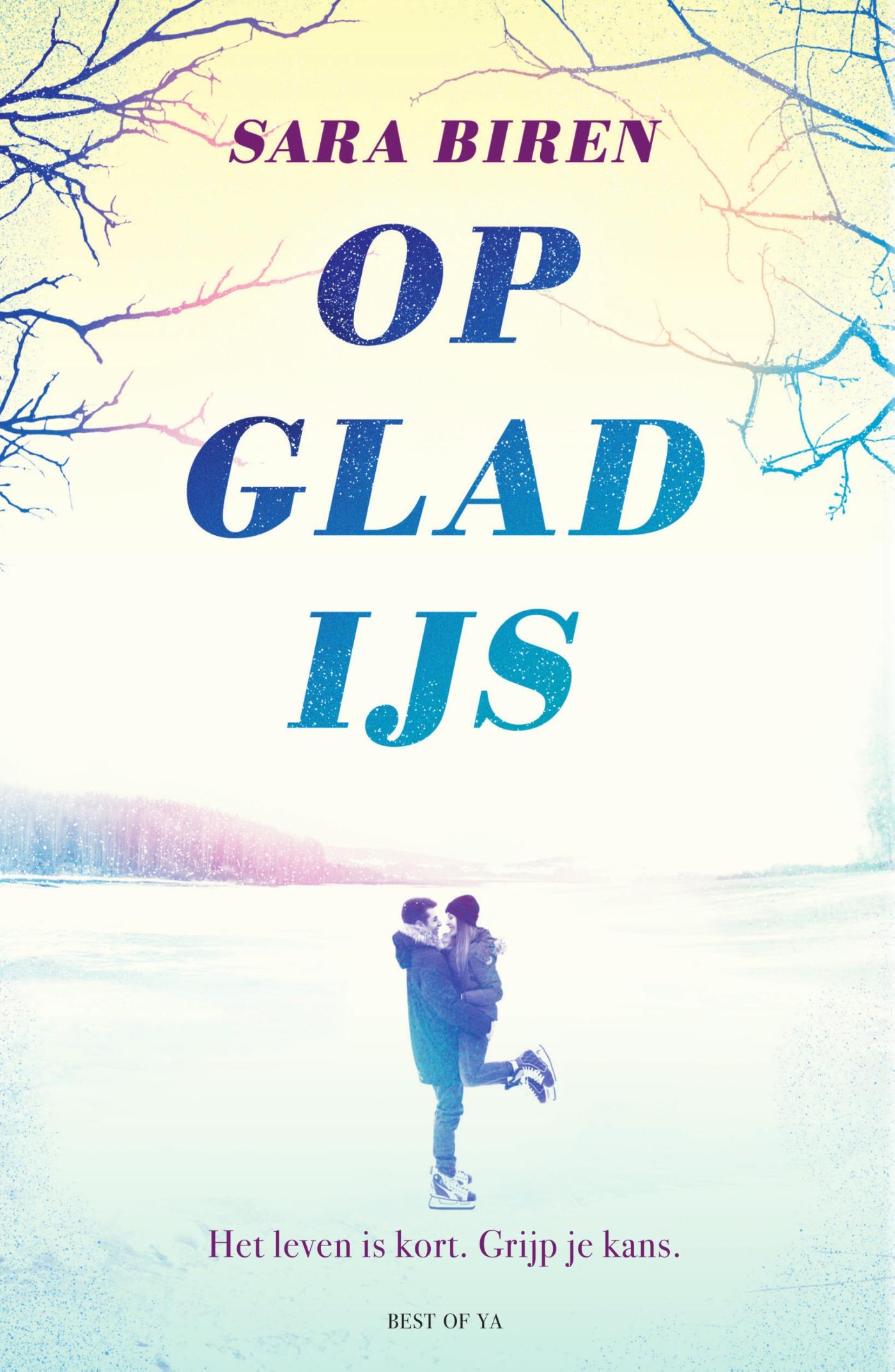 Omslag van Op glad ijs