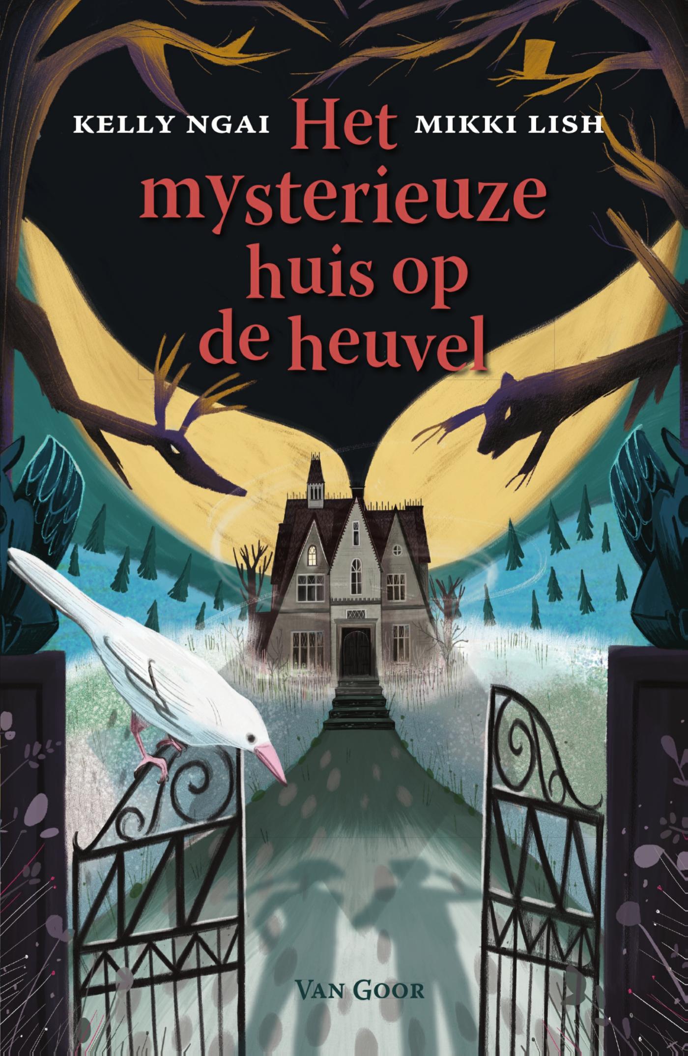 Omslag van Het mysterieuze huis op de heuvel