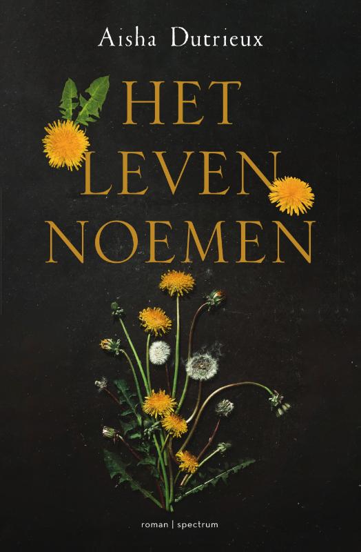 Omslag van Het leven noemen