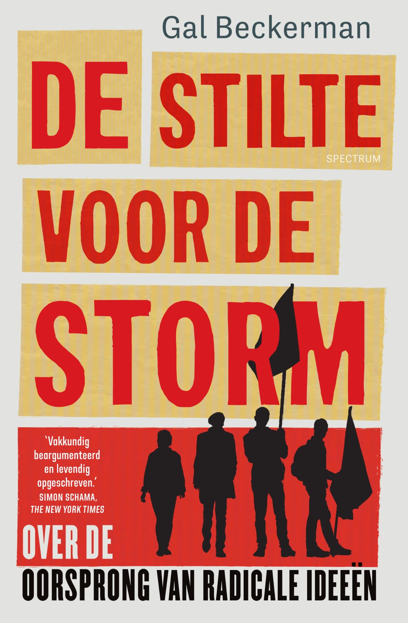 Omslag van De stilte voor de storm