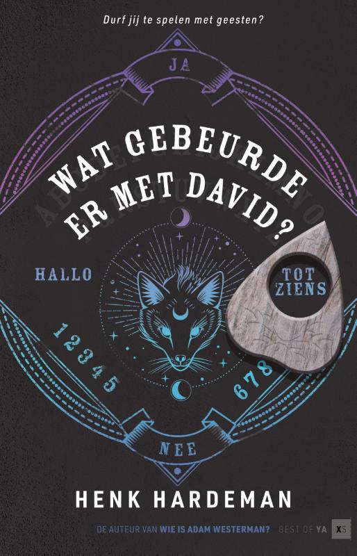 Omslag van Wat gebeurde er met David?