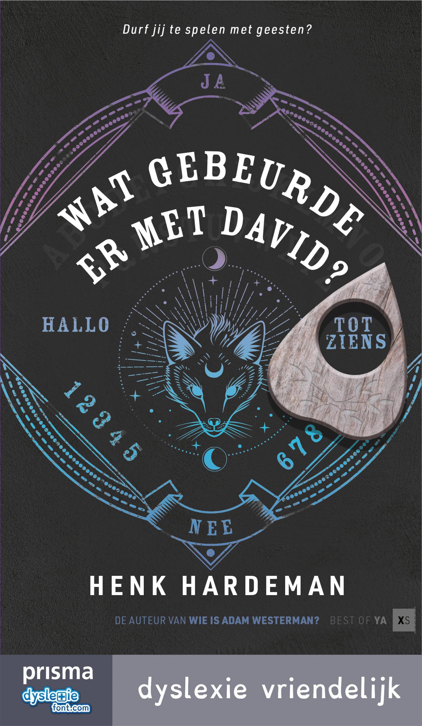 Omslag van Wat gebeurde er met David?