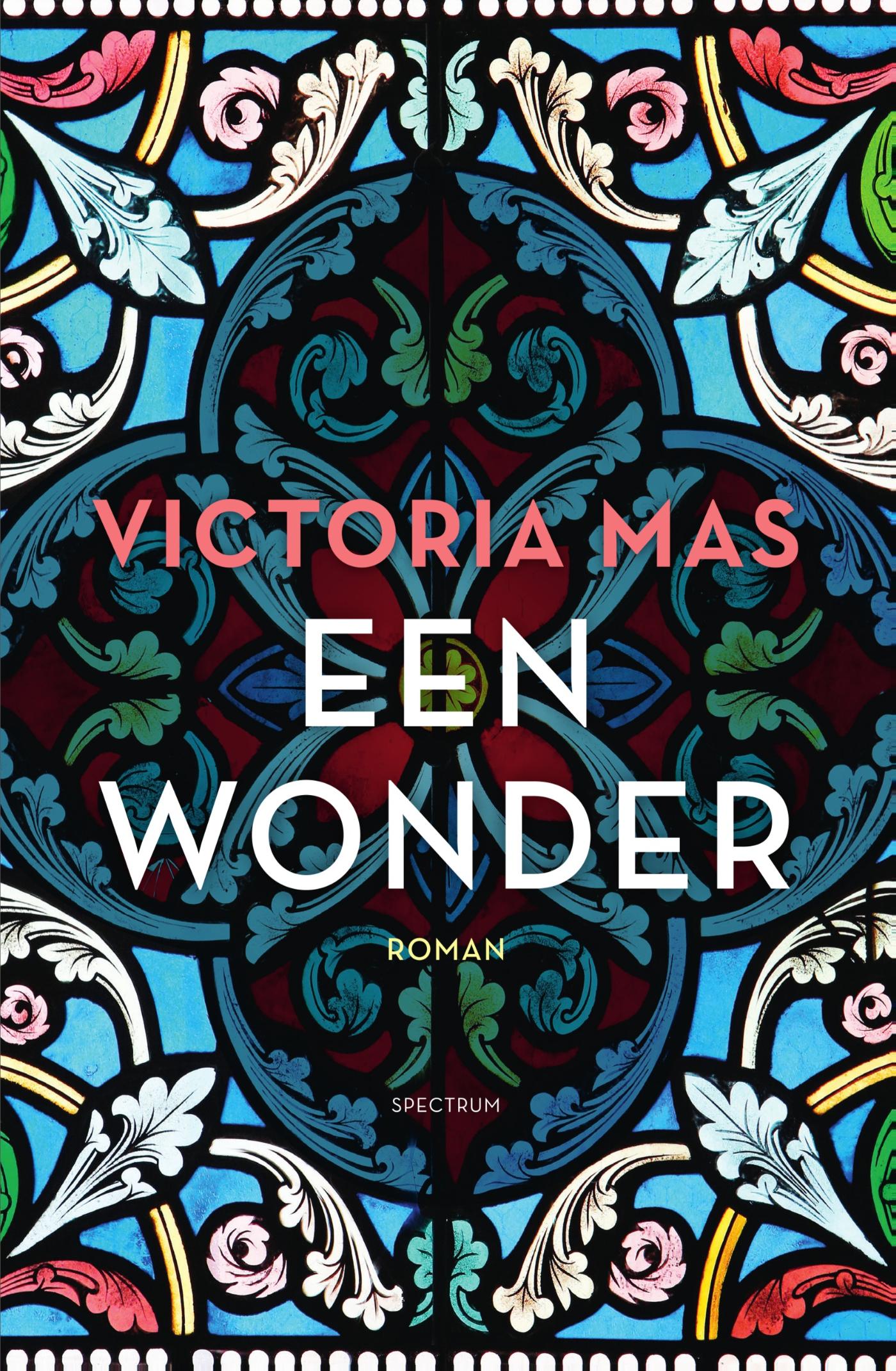 Omslag van Een wonder