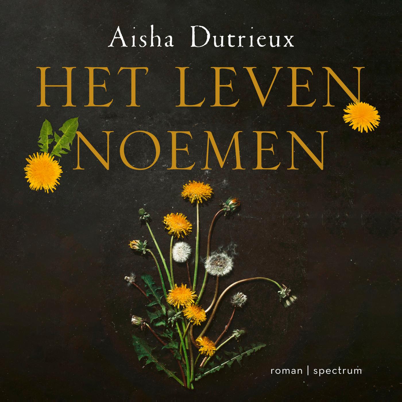 Omslag van Het leven noemen