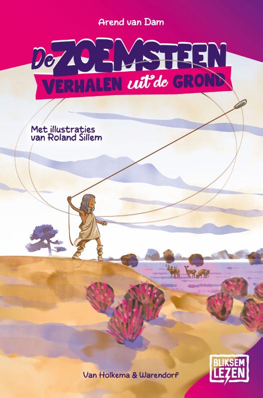 Omslag van De zoemsteen