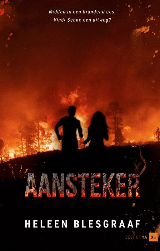 Omslag van Aansteker