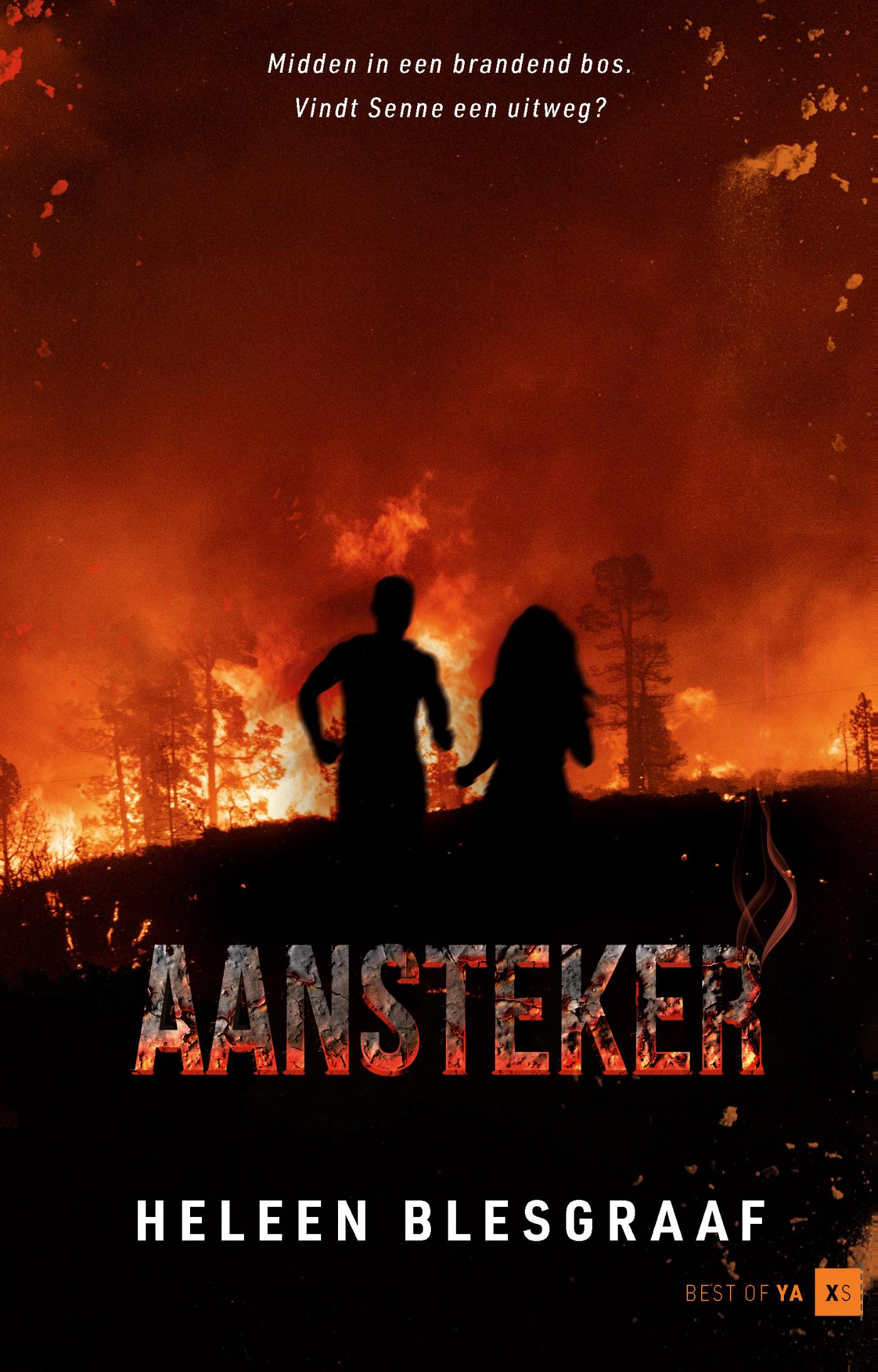 Omslag van Aansteker