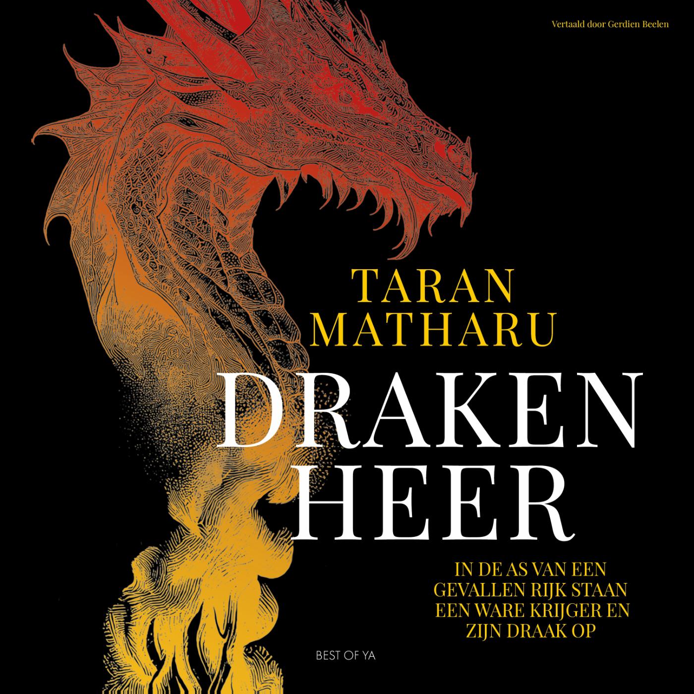 Omslag van Drakenheer