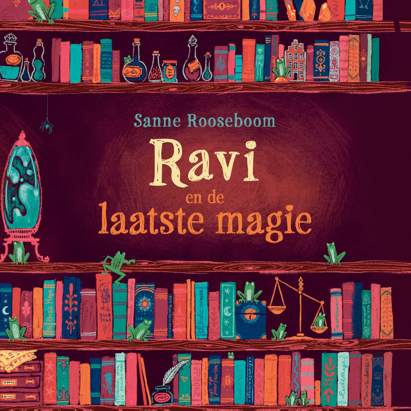 Omslag van Ravi en de laatste magie