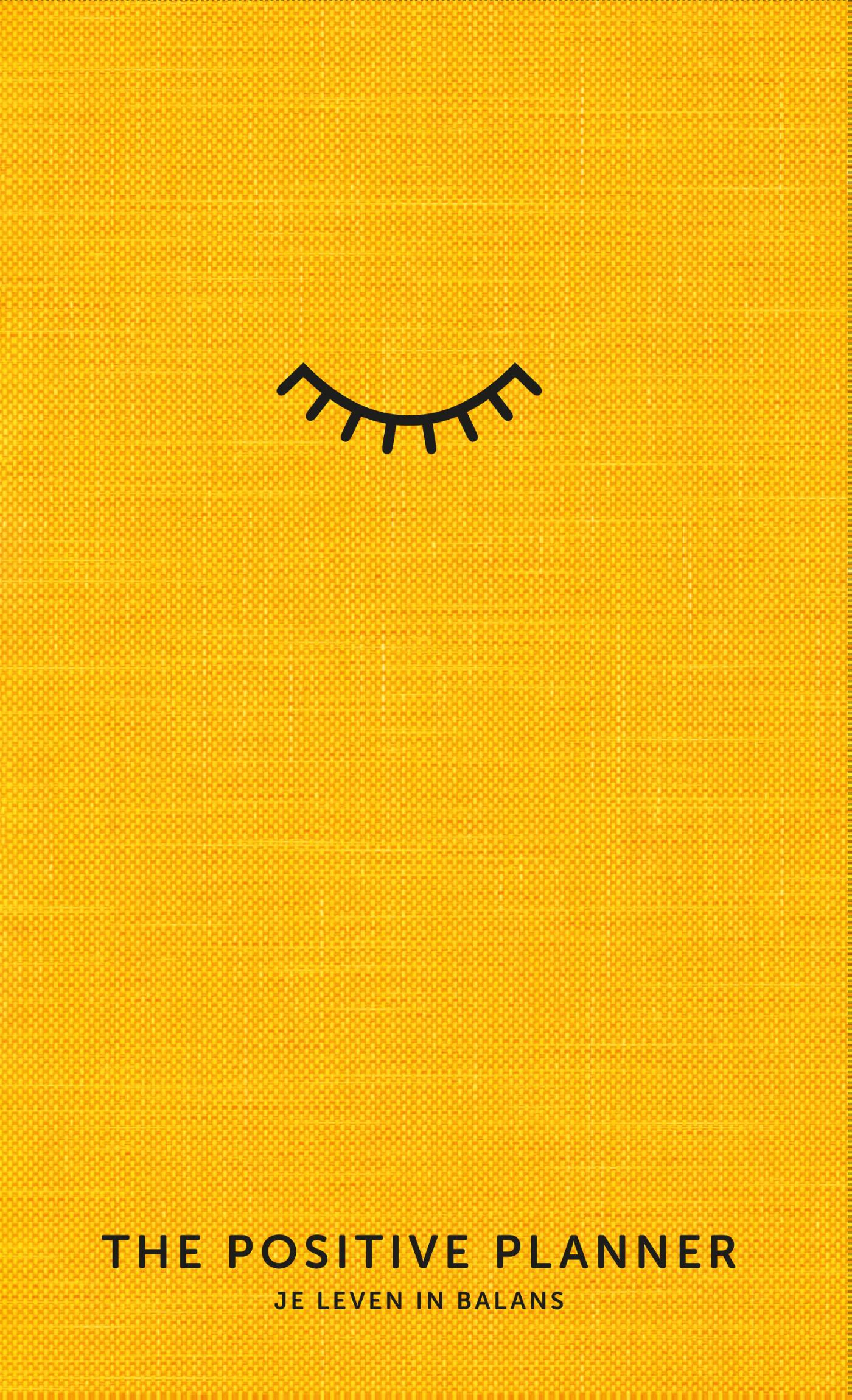 Omslag van The positive planner