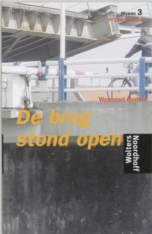 Omslag van De brug stond open