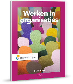 Omslag van Werken in organisaties