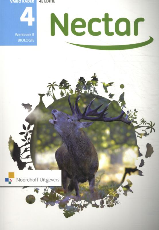 Omslag van werkboek B