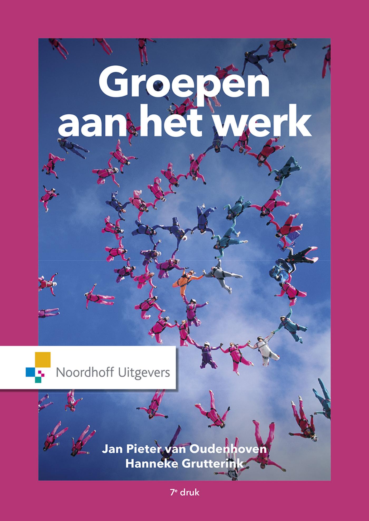 Omslag van Groepen aan het werk
