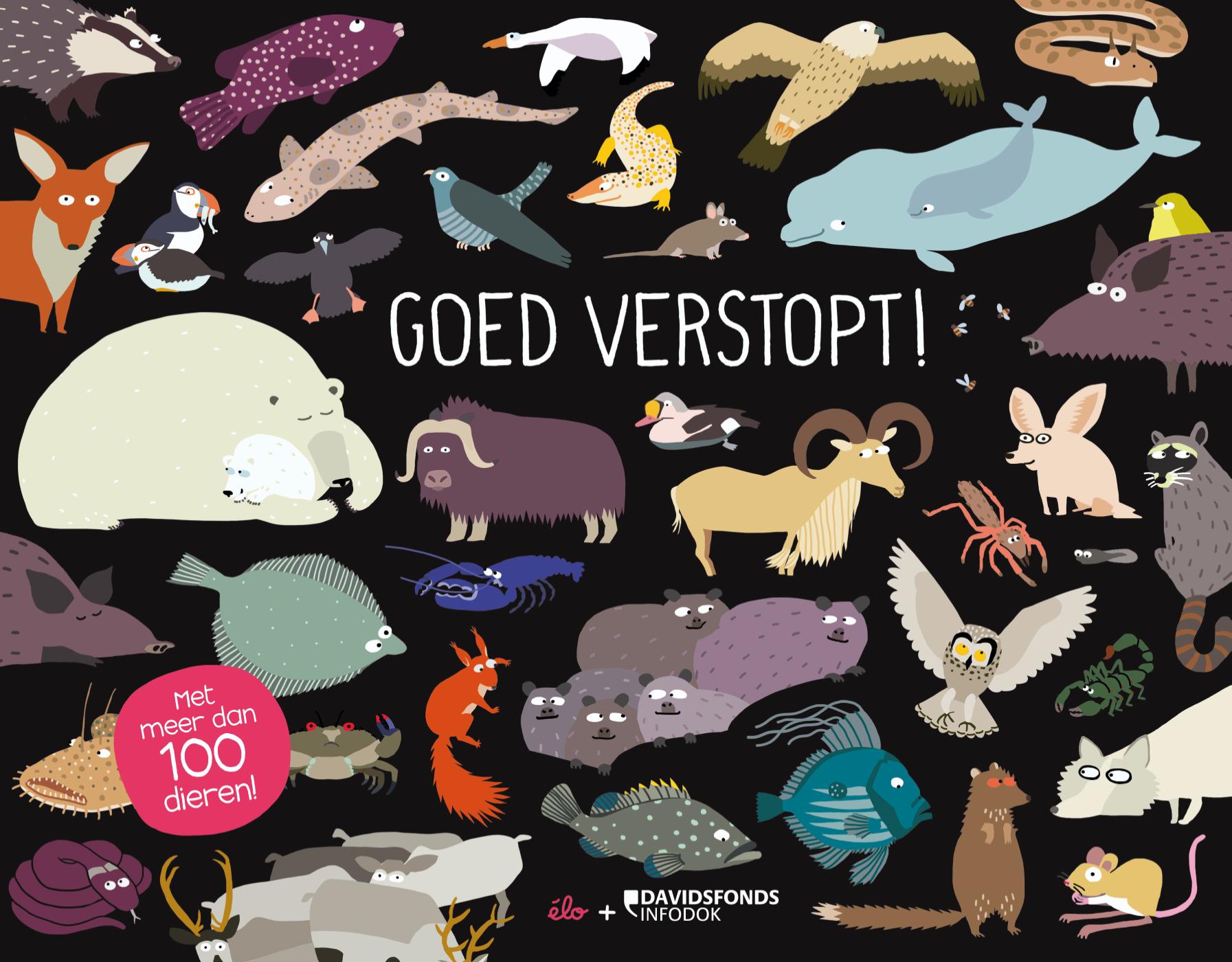 Omslag van Goed verstopt!