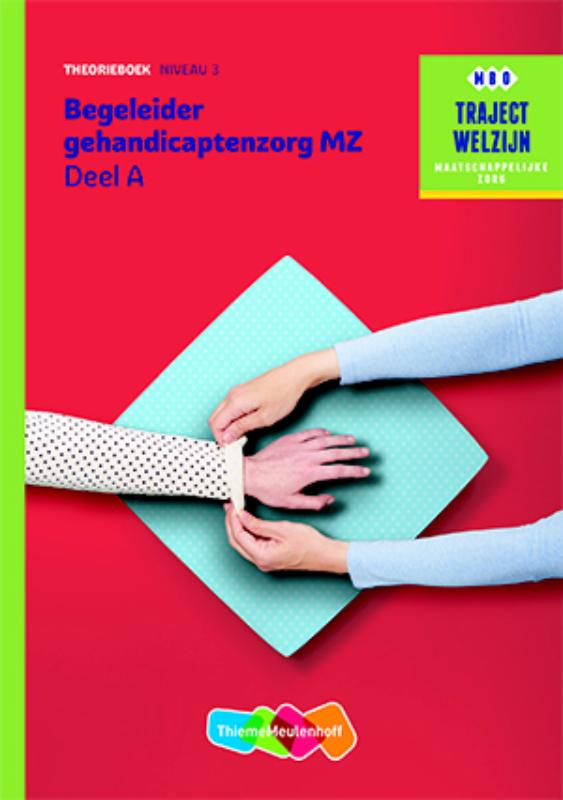 Omslag van Theorieboek niveau 3