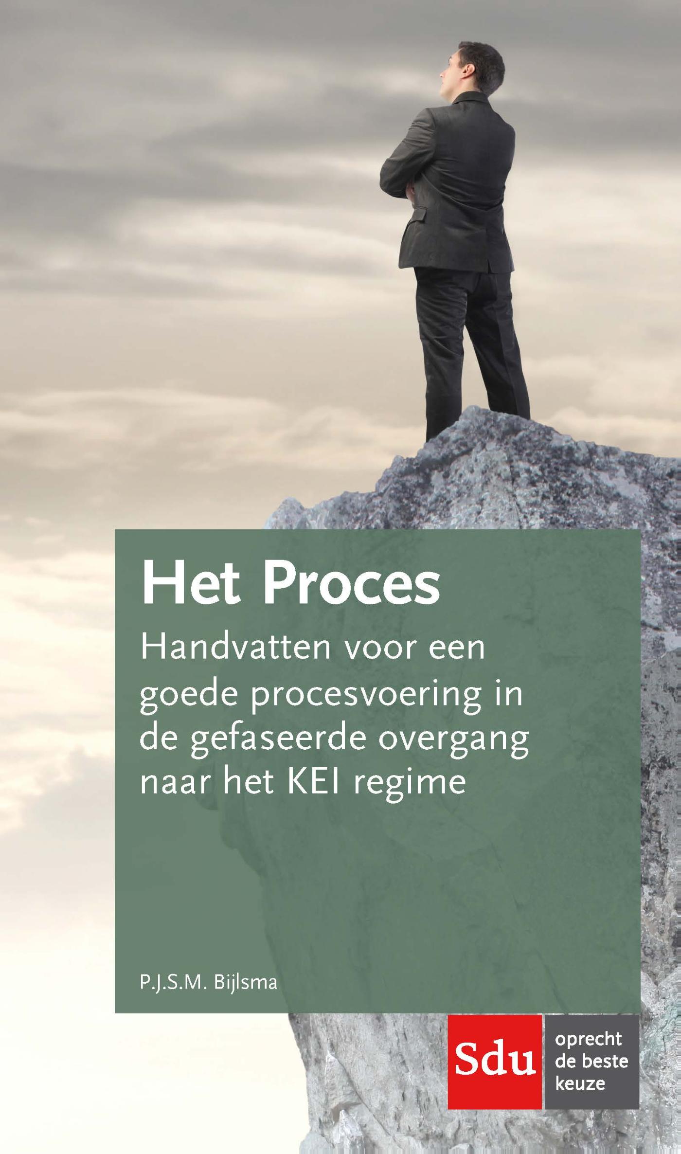 Omslag van Het proces