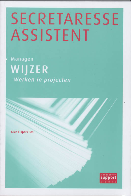 Omslag van Werken in projecten