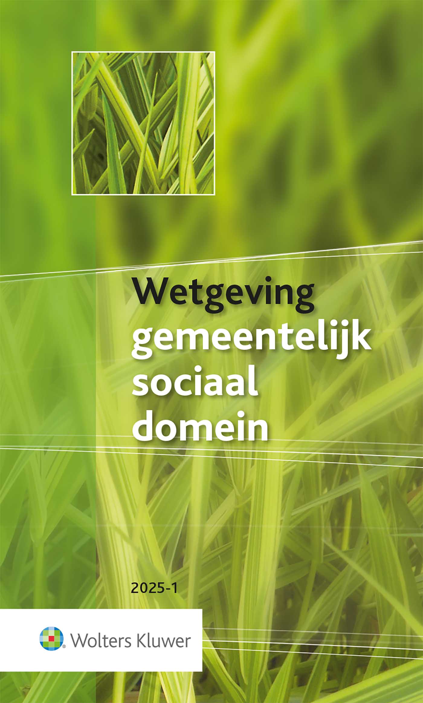 Omslag van Wetgeving gemeentelijk sociaal domein 2025-1
