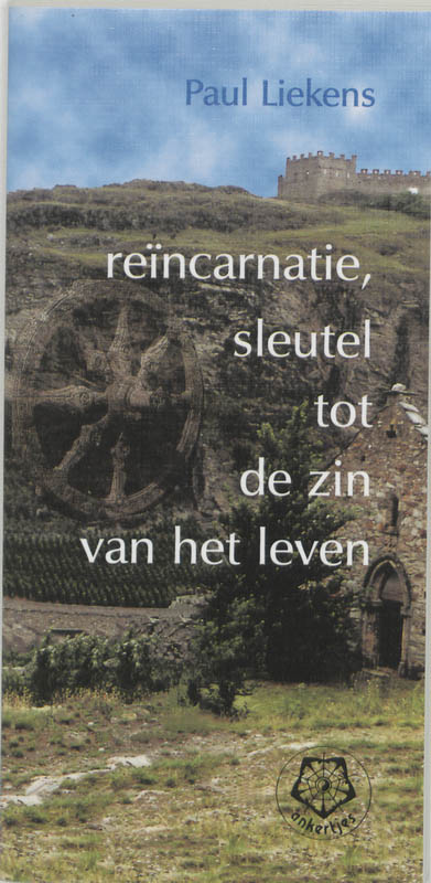 Omslag van Reincarnatie sleutel tot zin van het leven