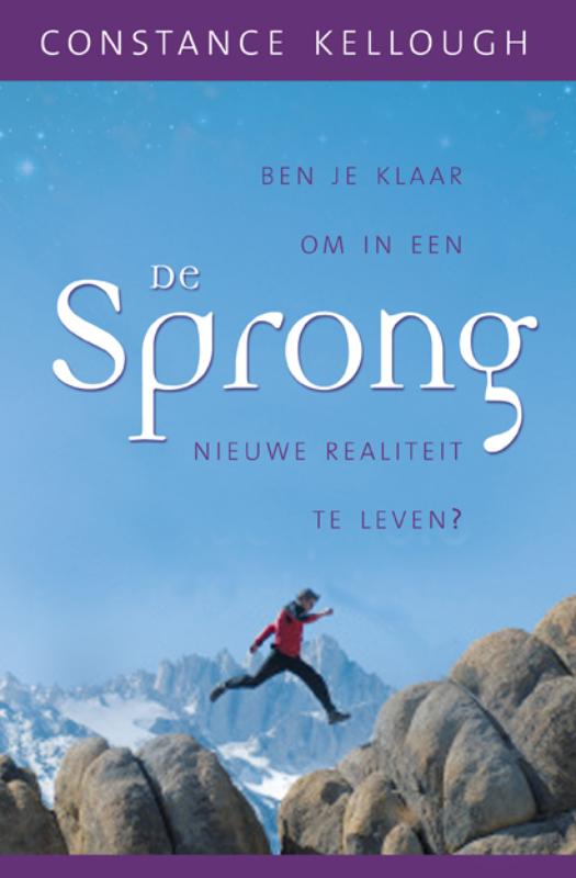 Omslag van De Sprong