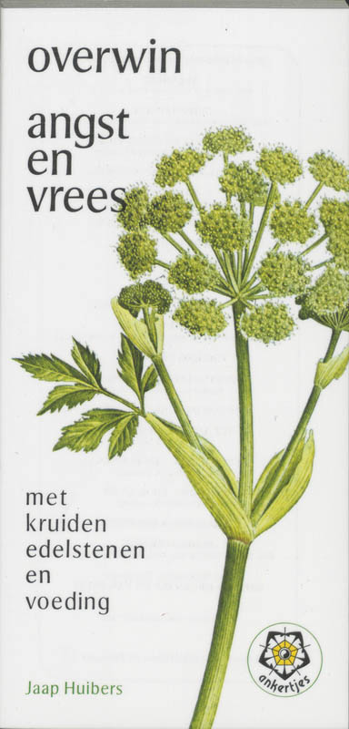 Omslag van Overwin angst en vrees