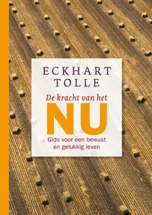 Omslag van De kracht van het nu