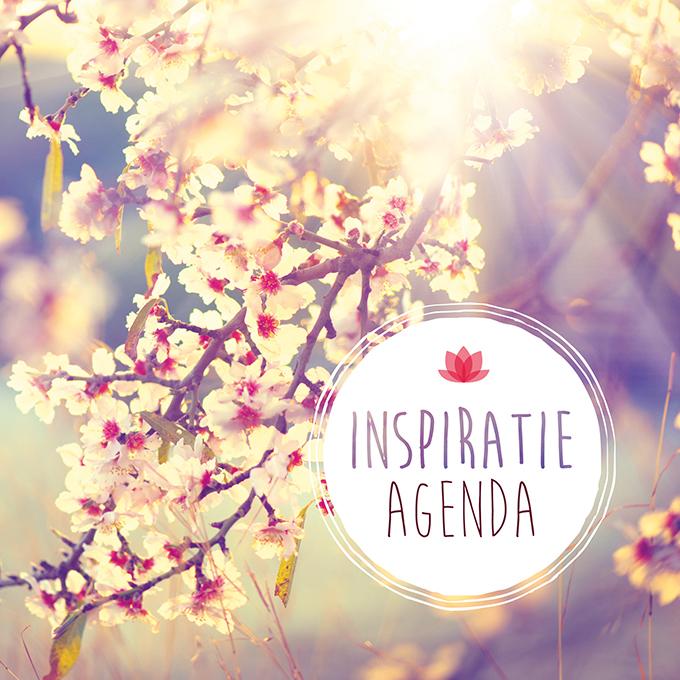 Omslag van Inspiratie Agenda