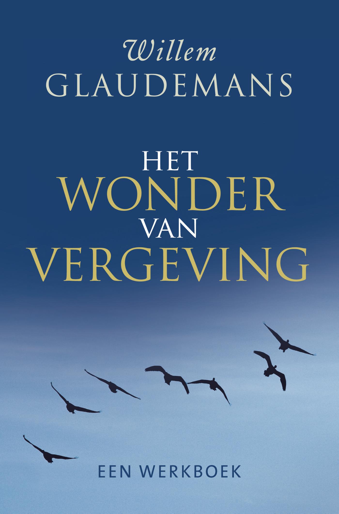 Omslag van Het wonder van vergeving