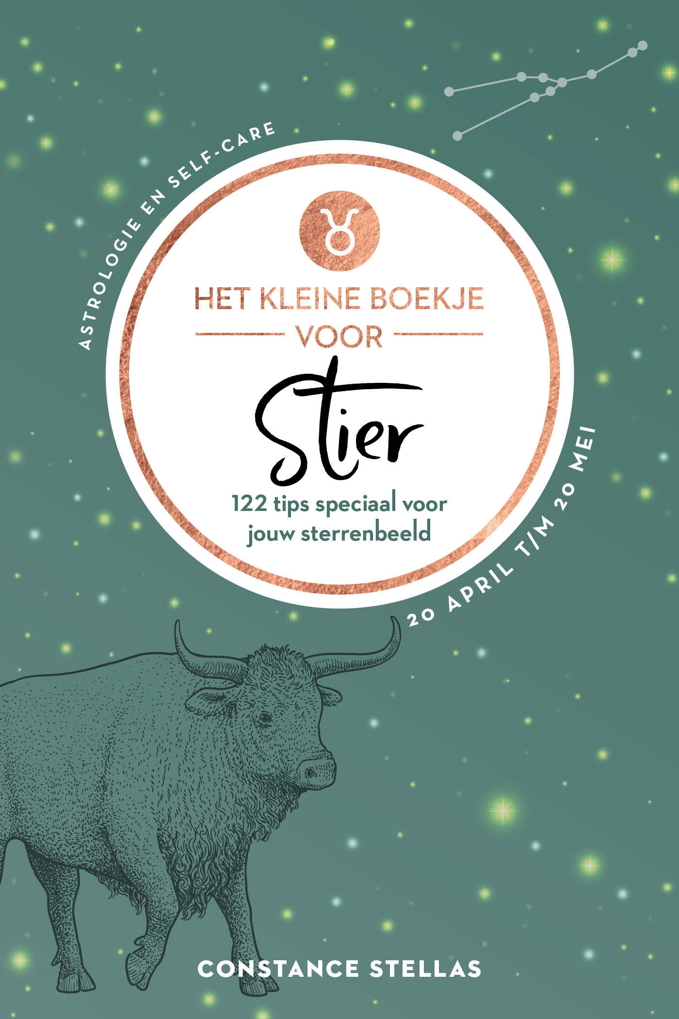 Omslag van Het kleine boekje voor Stier