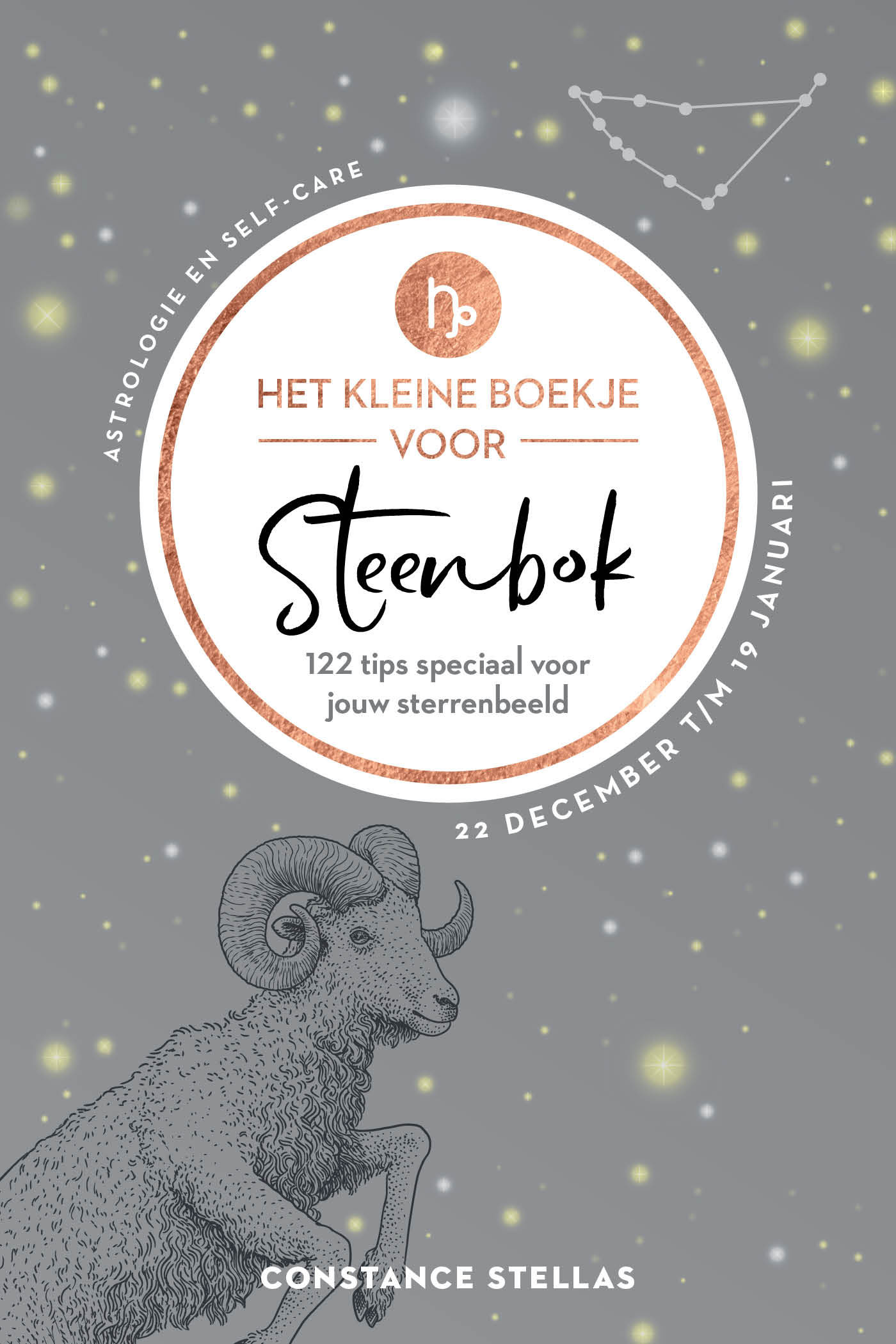 Omslag van Het kleine boekje voor Steenbok