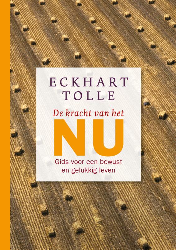 Omslag van De kracht van het NU