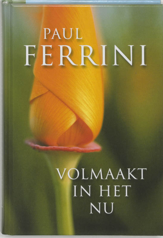 Omslag van Volmaakt in het nu