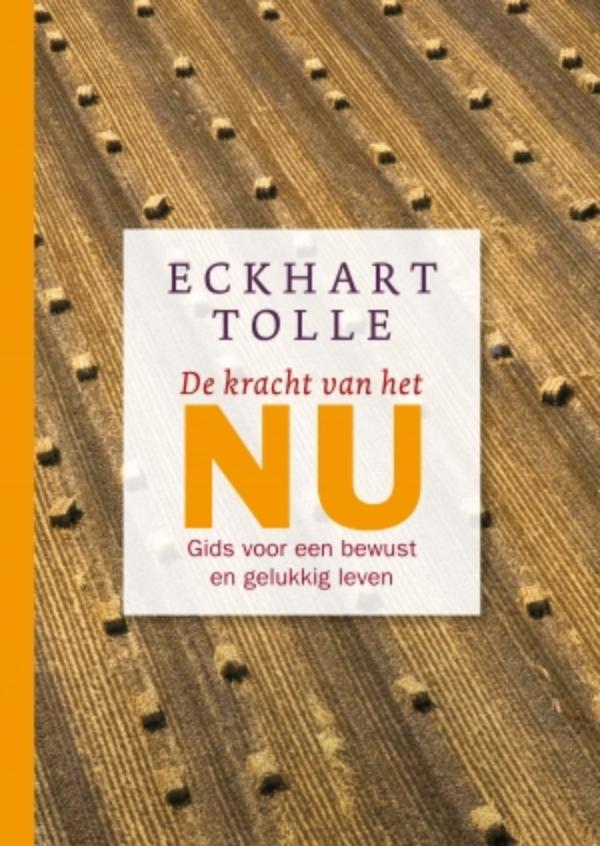 Omslag van De kracht van het NU