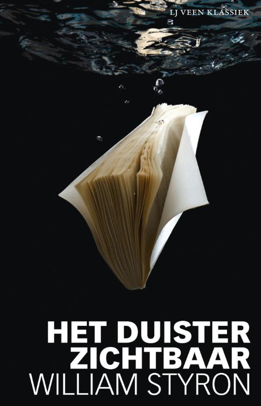 Omslag van Het duister zichtbaar