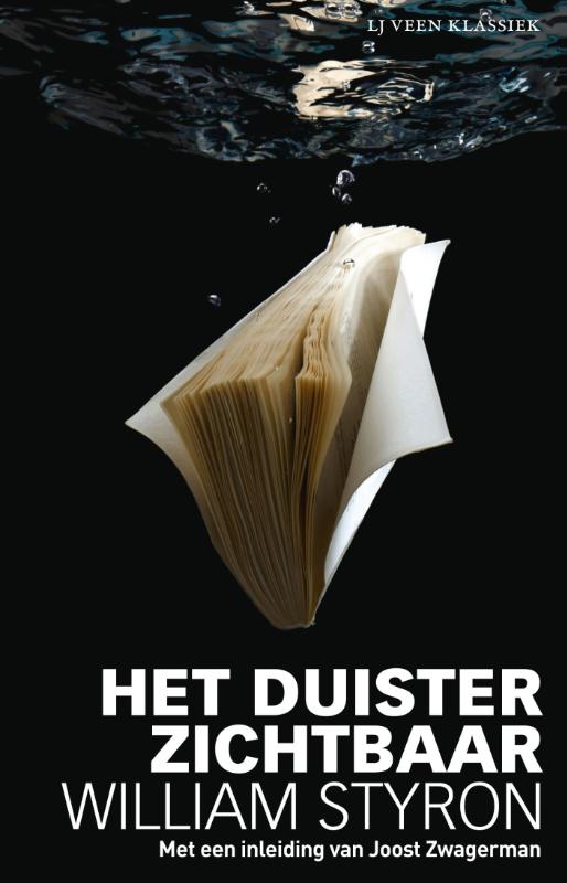Omslag van Het duister zichtbaar