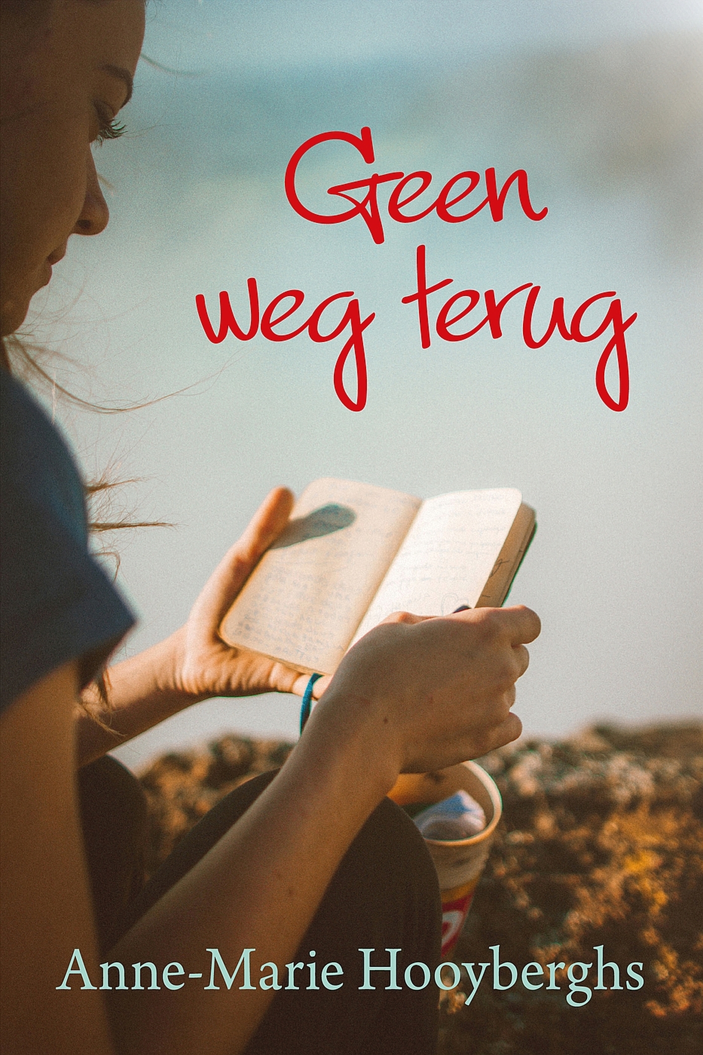 Omslag van Geen weg terug