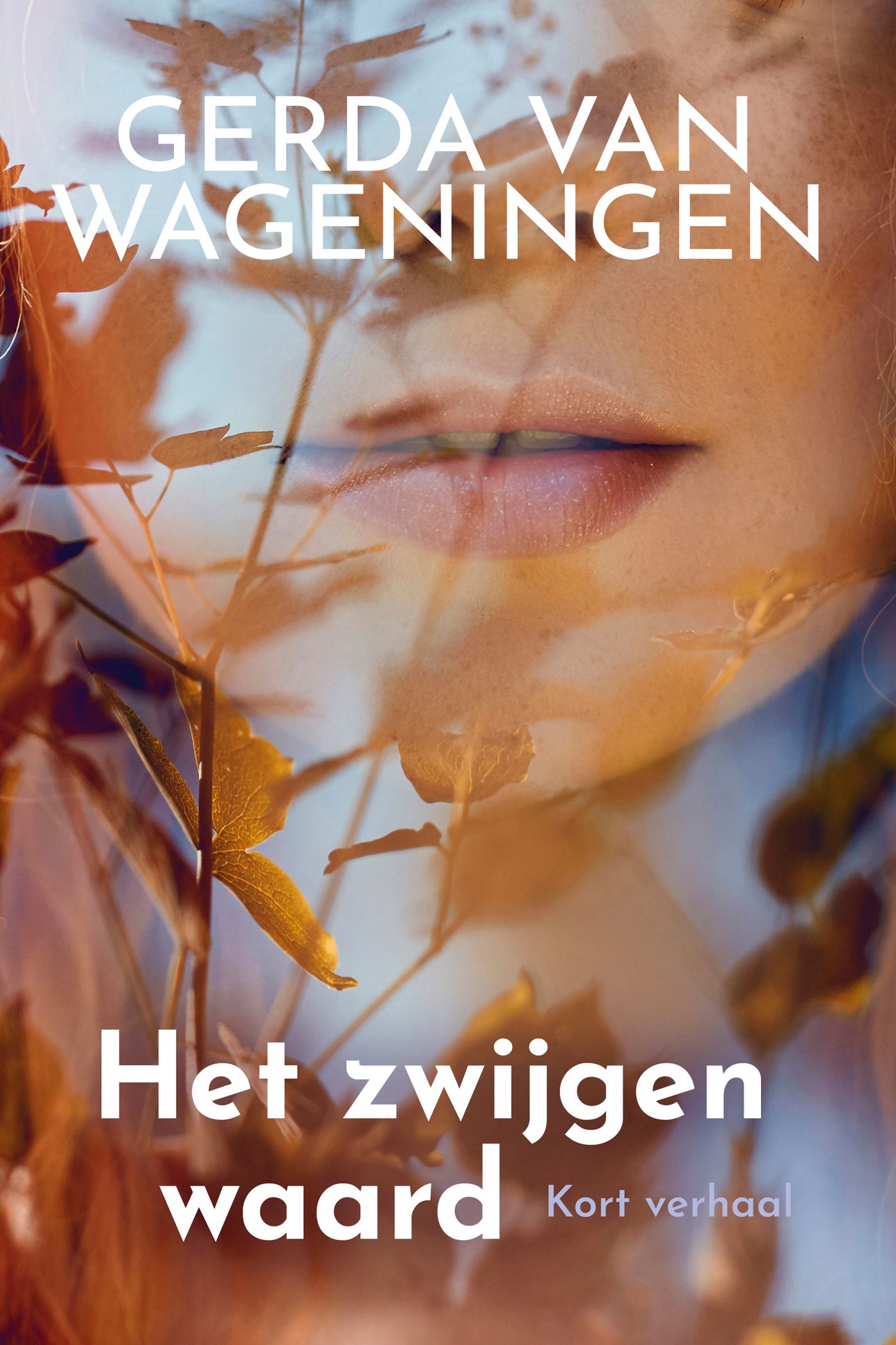 Omslag van Het zwijgen waard