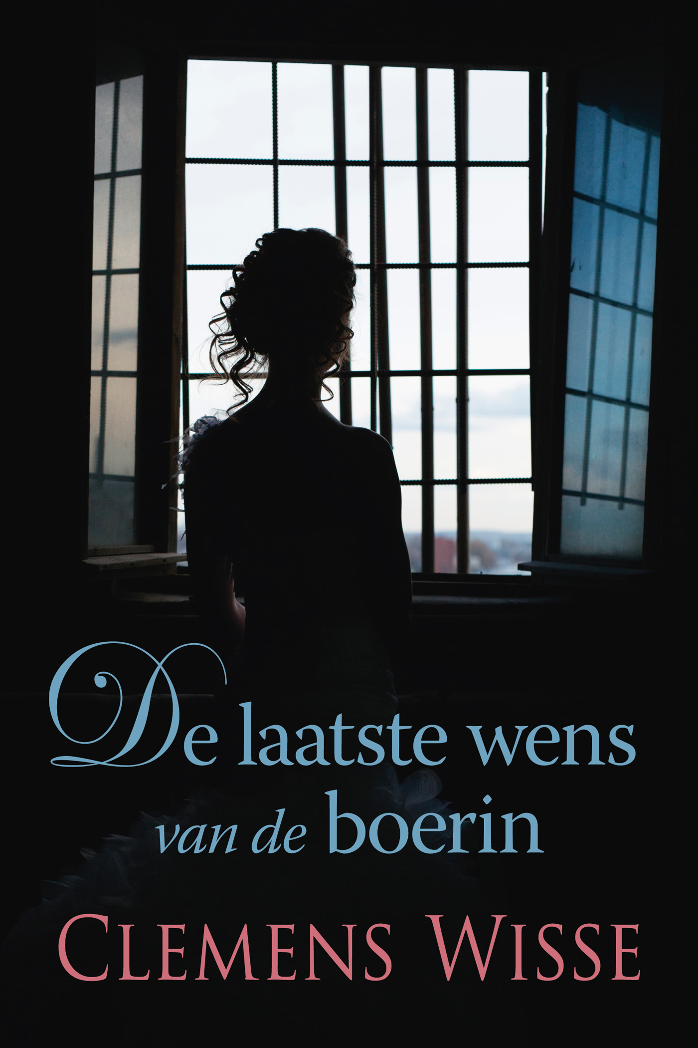 Omslag van De laatste wens van de boerin