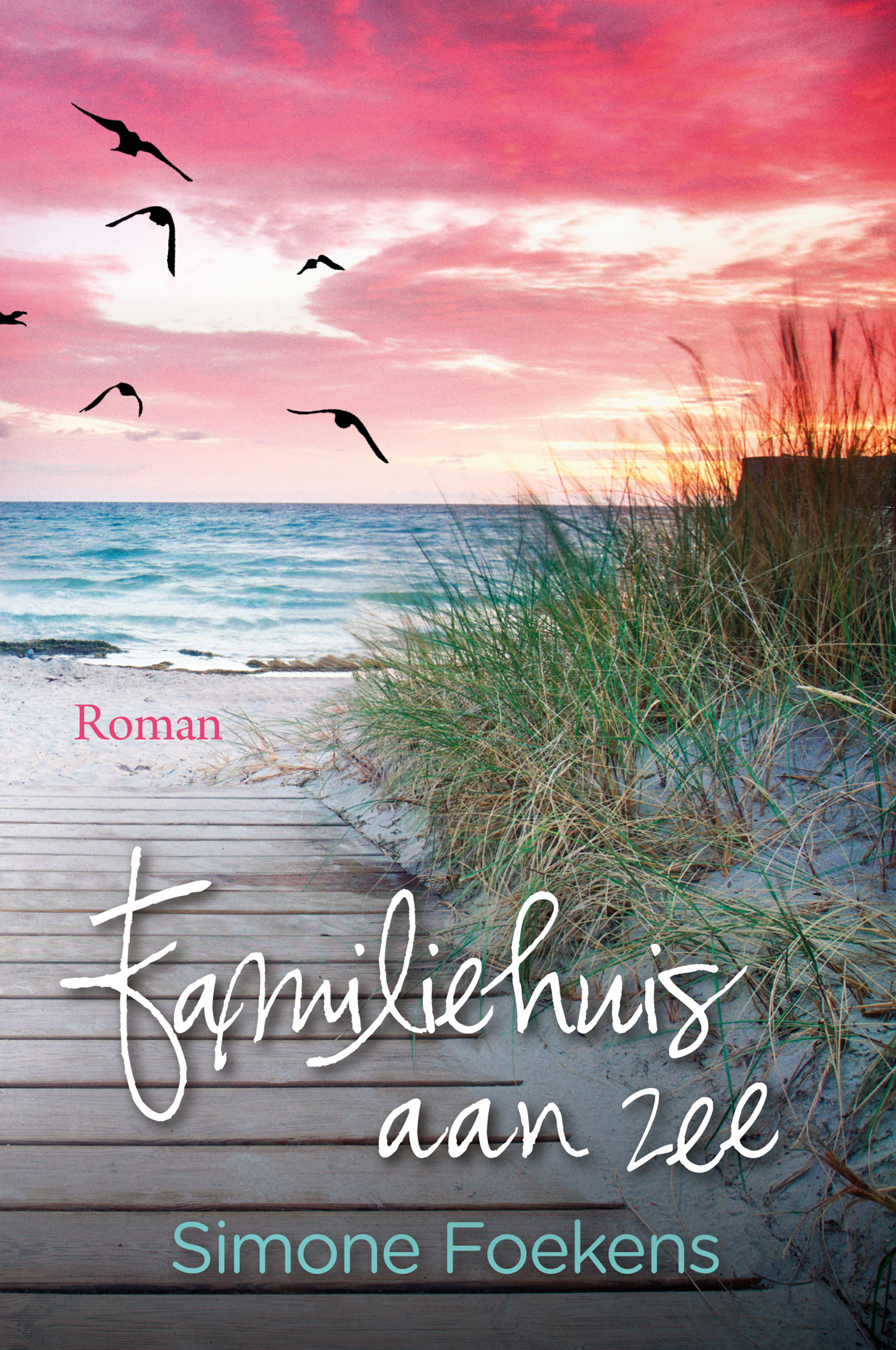 Omslag van Familiehuis aan zee