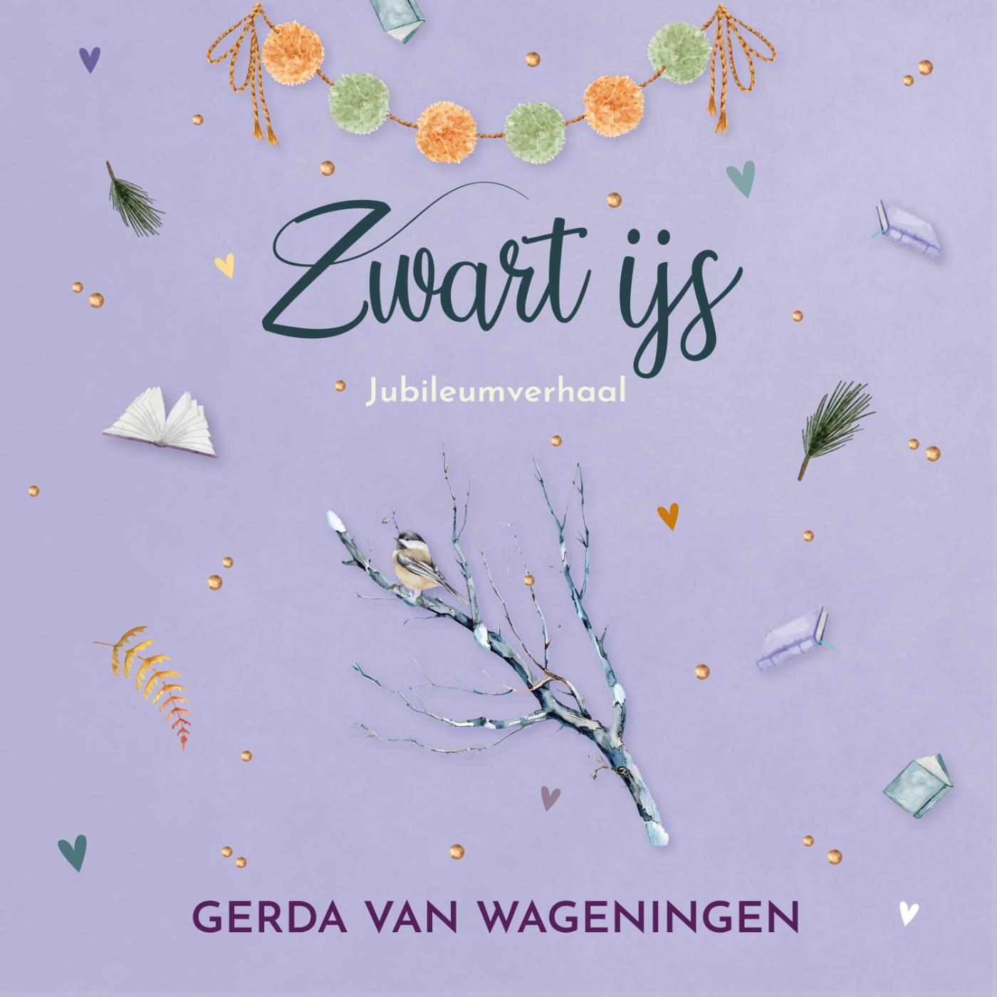 Omslag van Zwart ijs