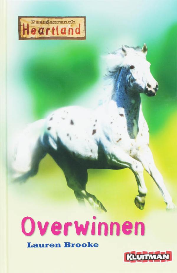 Omslag van Overwinnen
