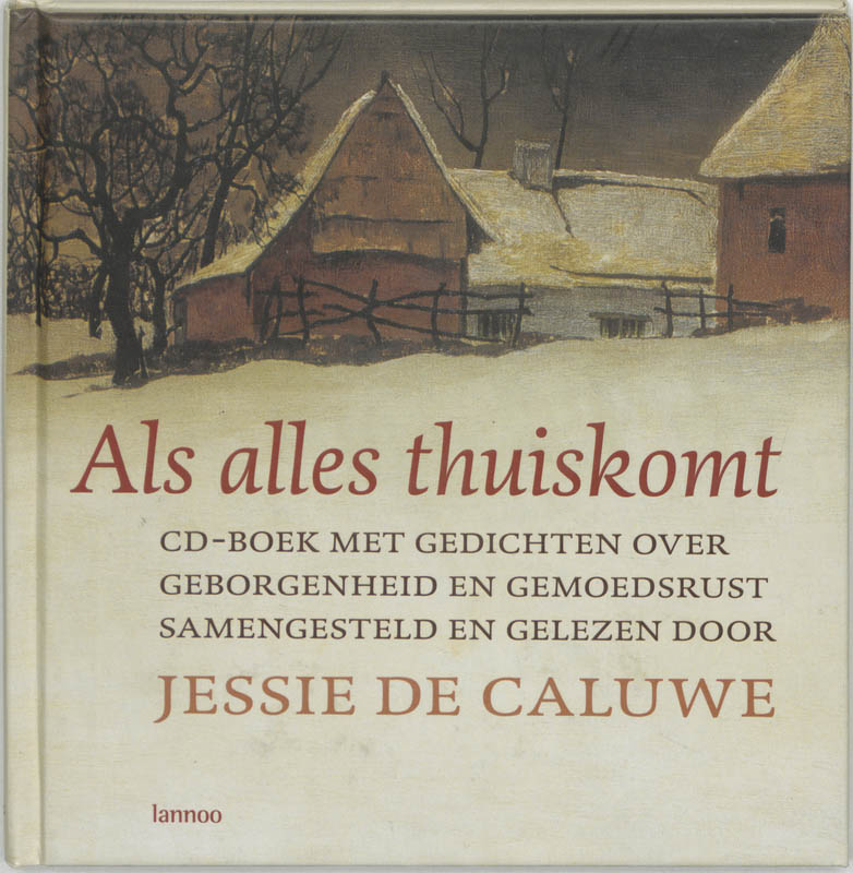 Omslag van Als alles thuiskomt