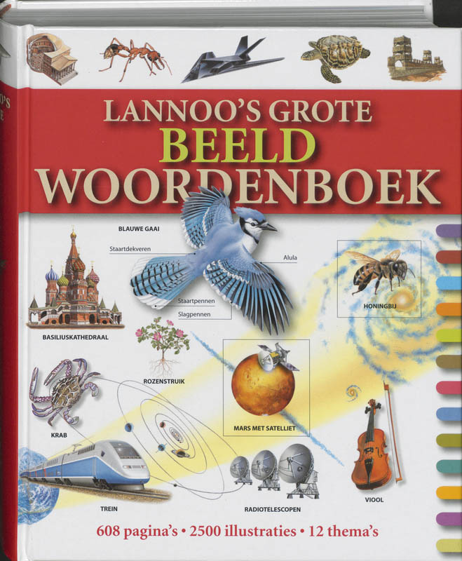 Omslag van Lannoo's grote beeldwoordenboek