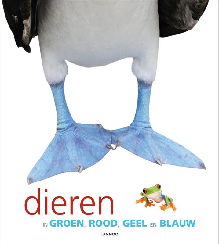 Omslag van Dieren in groen, rood, geel en blauw