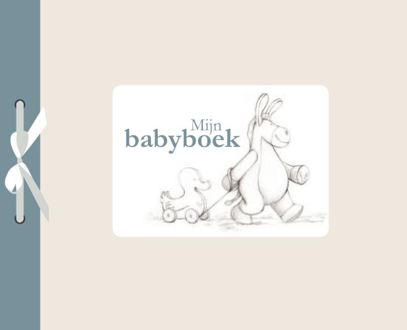 Omslag van Mijn babyboek