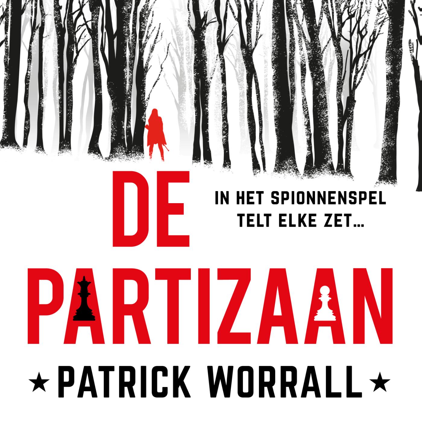 Omslag van De partizaan