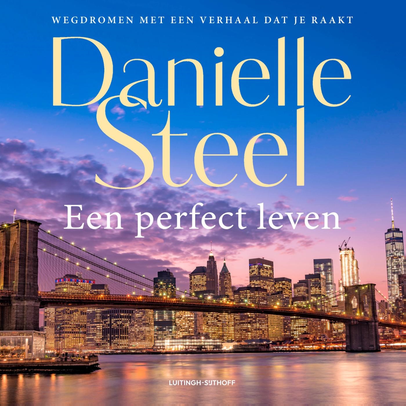 Omslag van Een perfect leven