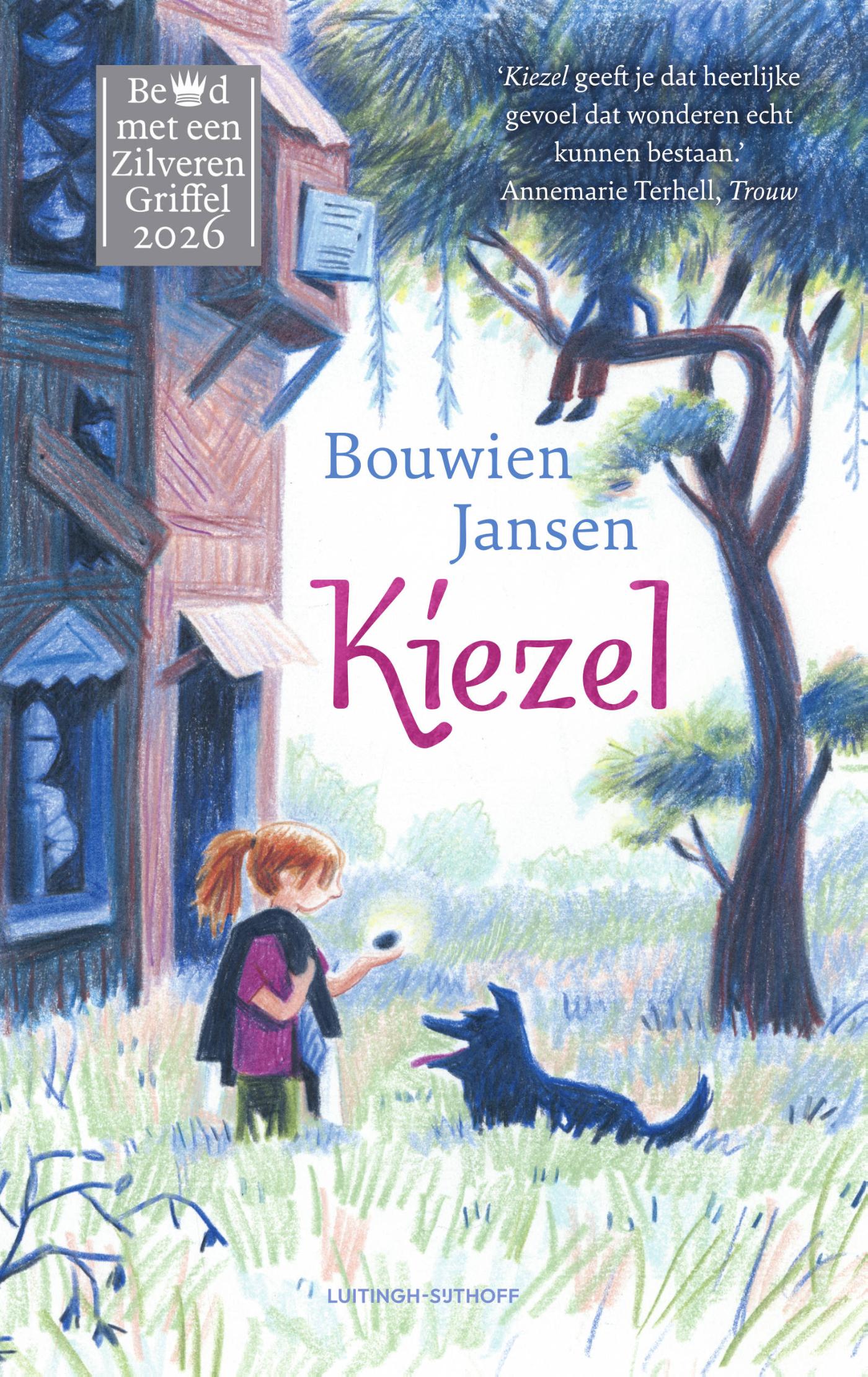Omslag van Kiezel