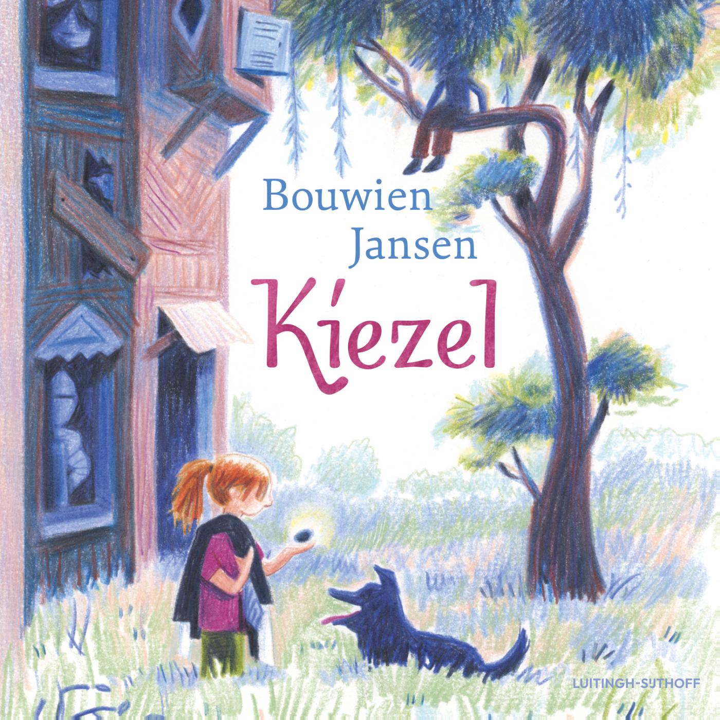 Omslag van Kiezel